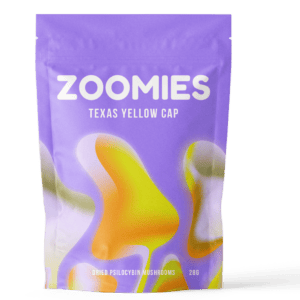 Texas Yellow Cap | Shroom Delivery Canada