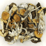 Full Moon Party | Shroom Delivery Canada