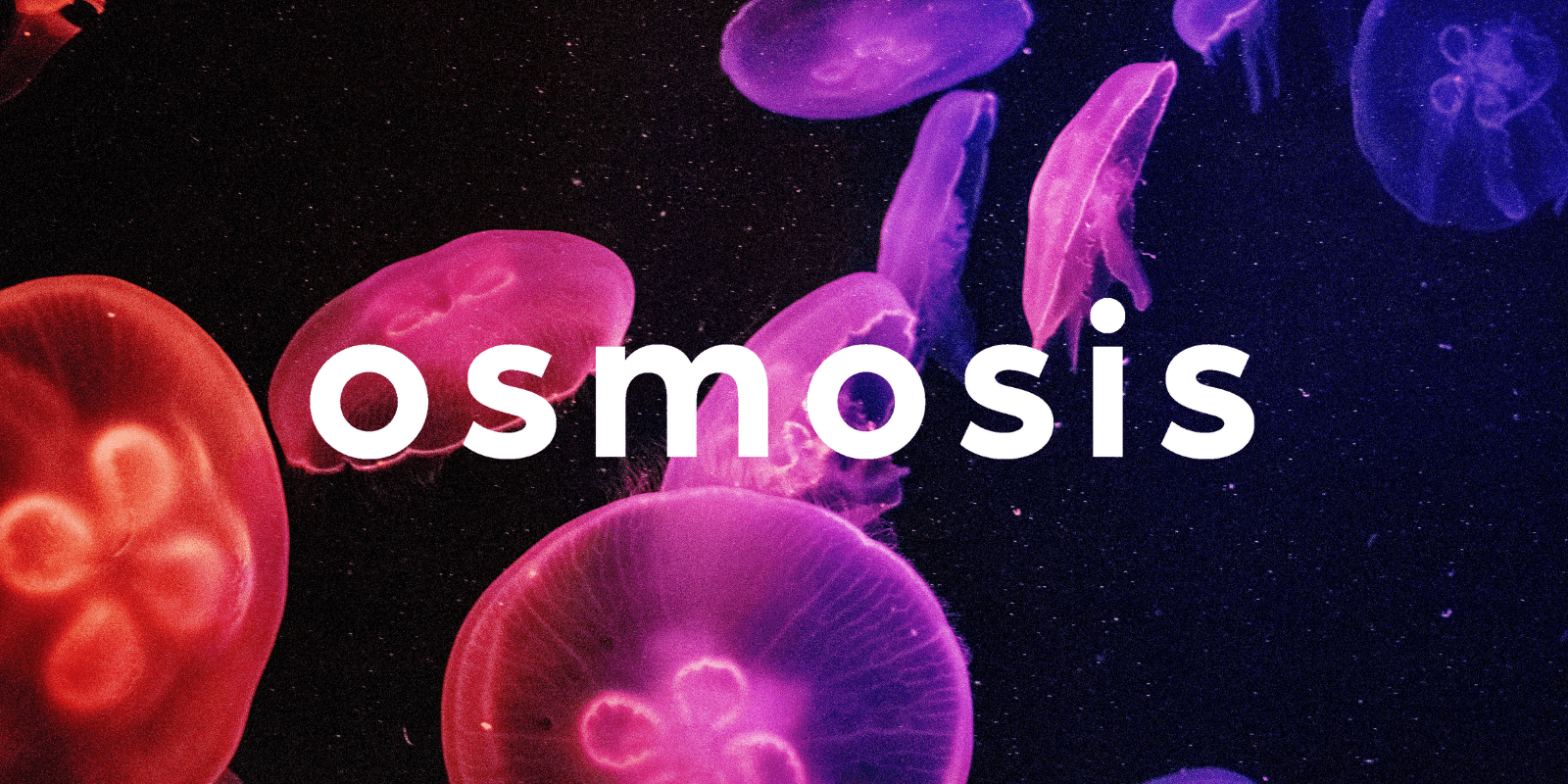 Zoomies osmosis banner | Shroom Delivery Canada