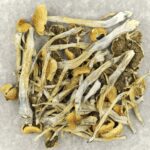 Trinity | Shroom Delivery Canada