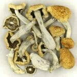 Vietnamese | Shroom Delivery Canada