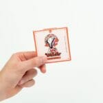 Wonder – Psilocybin Chocolate Bar – Blood Orange | Shroom Delivery Canada