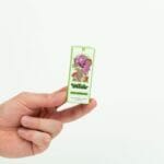 Wonder – Psilocybin Chocolate Bar – Dark Chocolate | Shroom Delivery Canada