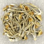 Hautla | Shroom Delivery Canada