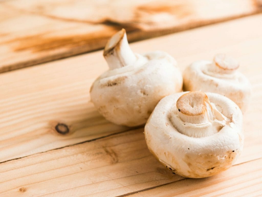 Buy Mushrooms Online and Explore the The Best Way to Obtain Psilocybin Buy Shrooms Online at Shroom Delivery Canada