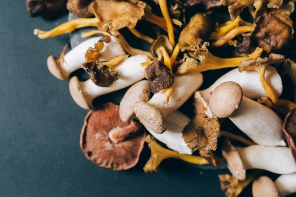 The Health-Enhancing Potential of Mushrooms Health benefits of mushrooms