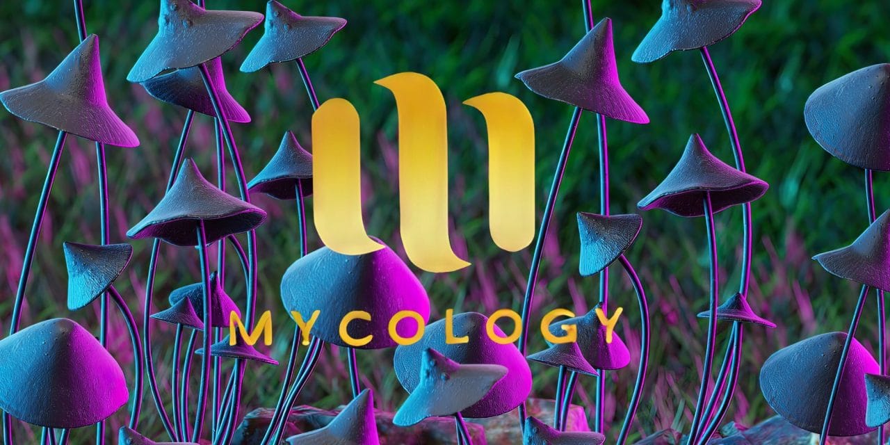Zoomies Summer 2023 Banner - Mycology | Shroom Delivery Canada