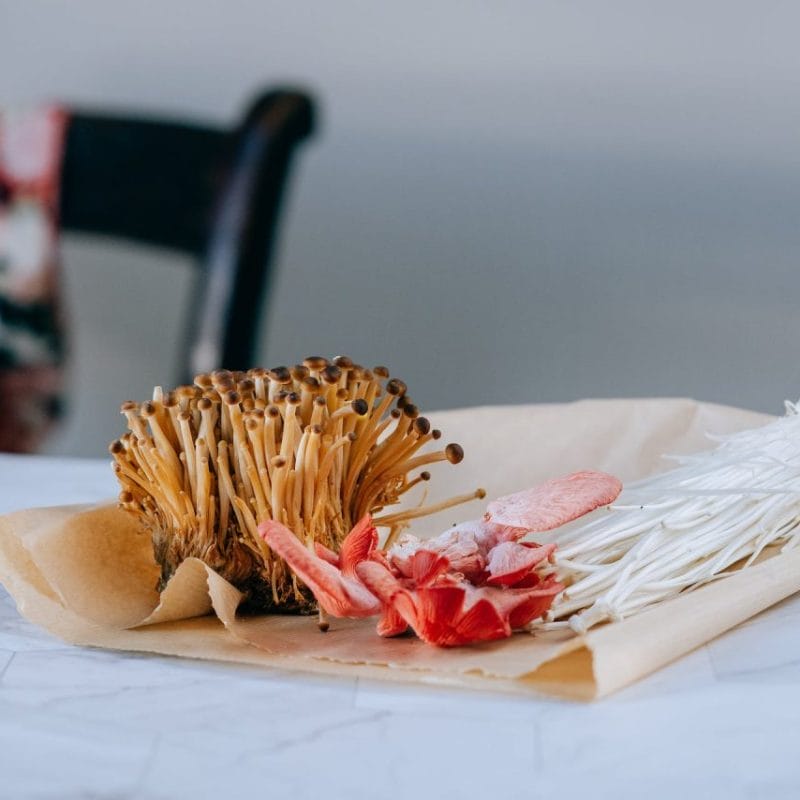 Buy Shrooms Online Canada (1) | Shroom Delivery Canada