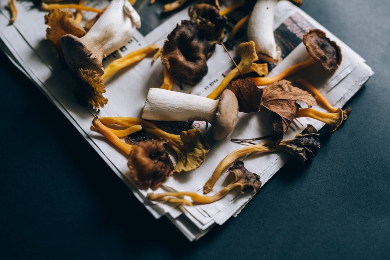 Do Mushrooms and Chocolate Complement Each Other?