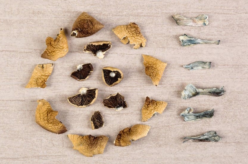 The Unforeseen Link Between Psychedelics and Improved Sex Magic mushroom Canada